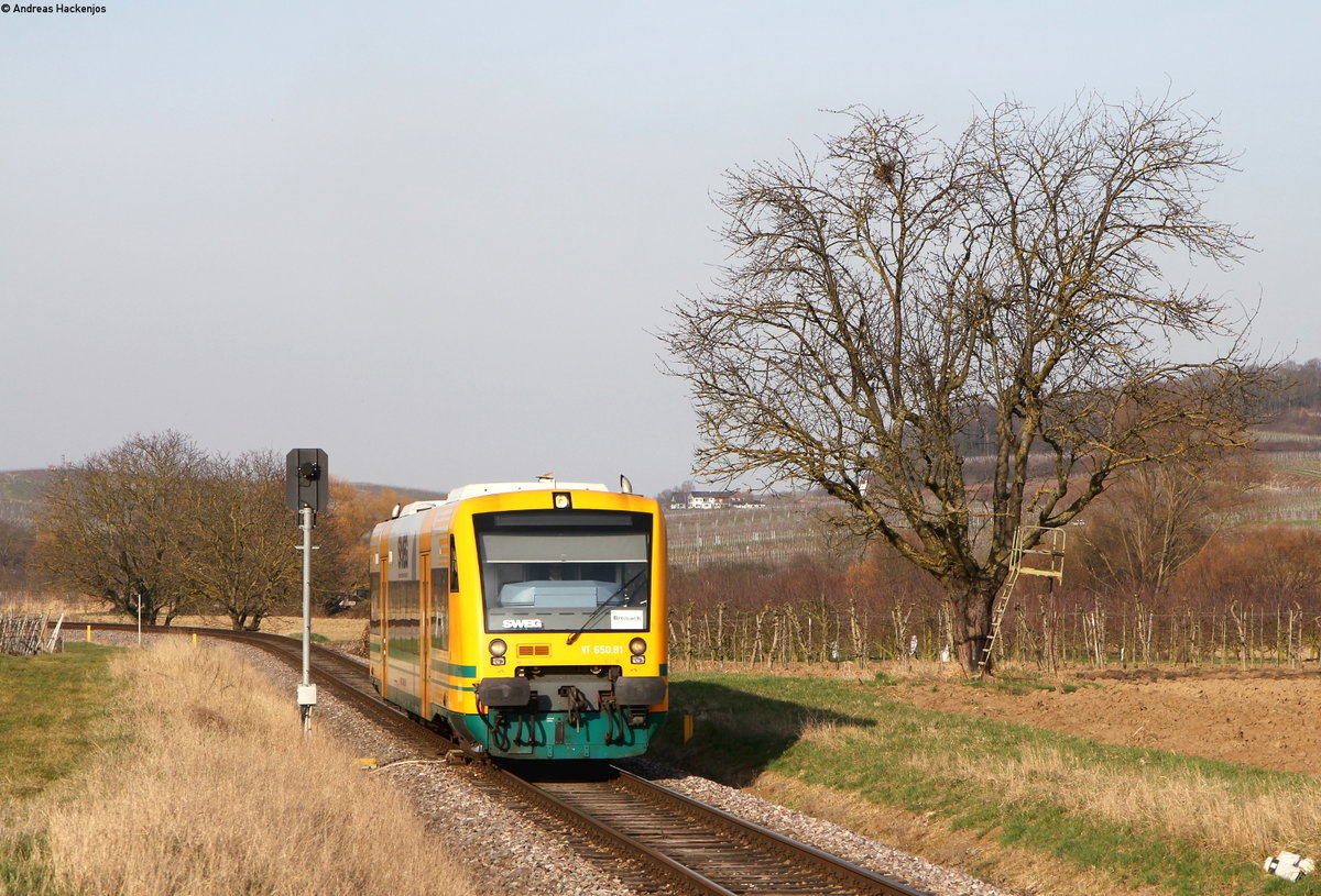 VT 650.81 als SWE74221 (Riegel-Malterd.NE-Breisach) bei Burkheim 14.3.17