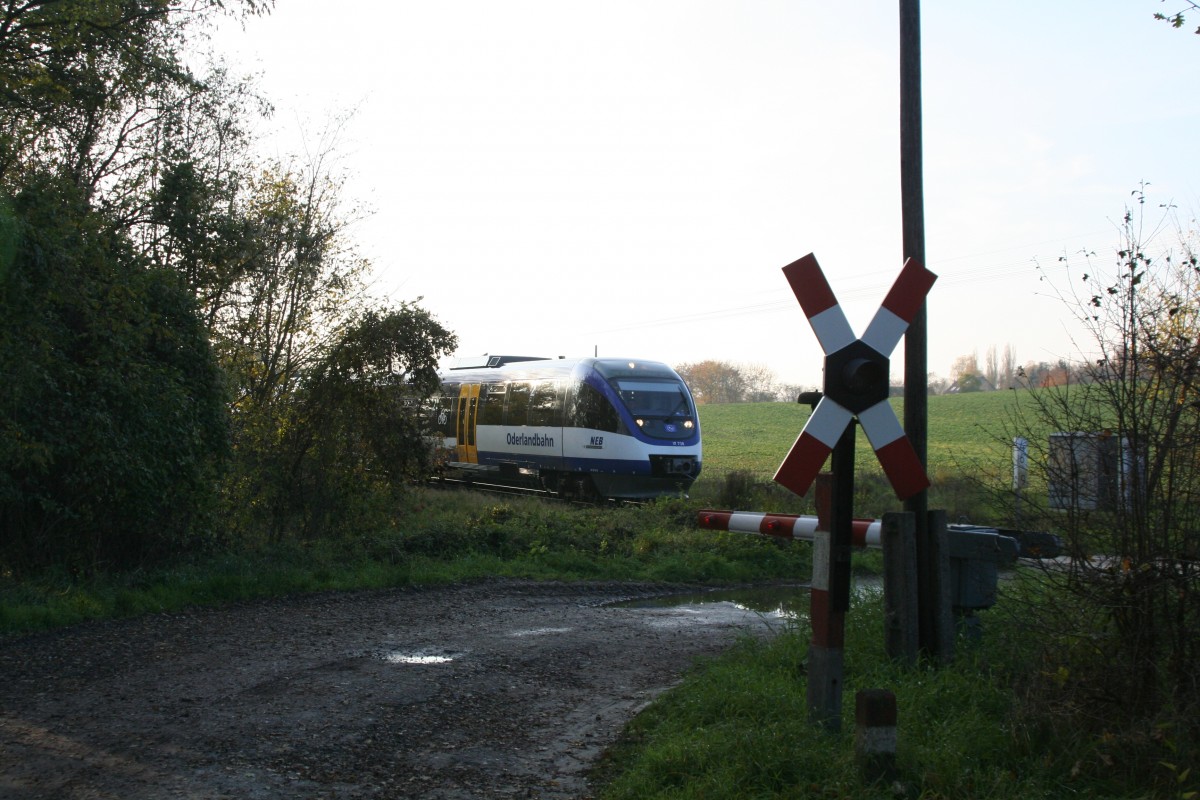 VT 738 bei Müncheberg (Mark) 01.11.2008