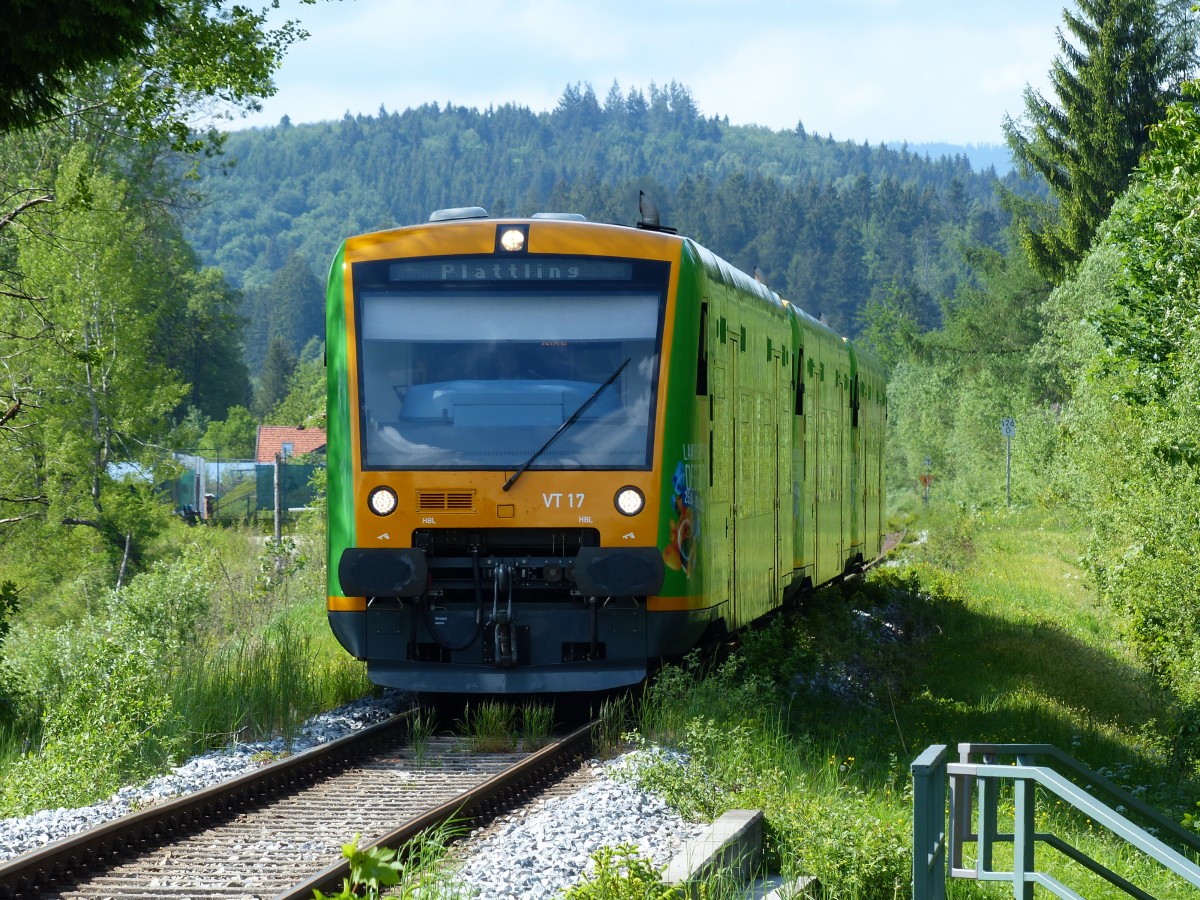 VT17 und zwei weitere Waldbahn Shuttle nach Plattling am 25.05.2014 in Ludwigsthal.