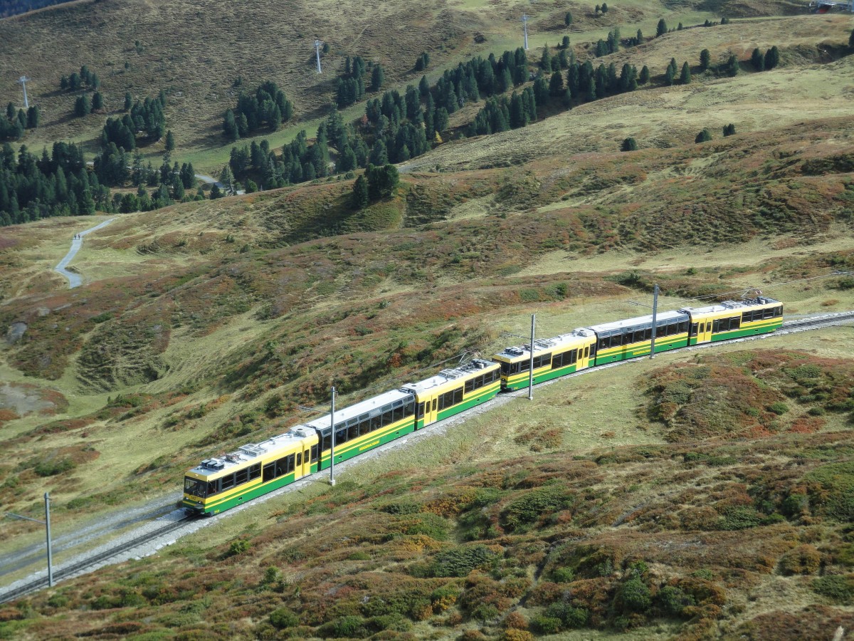 WAB 2 Gelenk-TW (BHe 4/8) Pano in Doppeltraktion, Nr. 142 führend, von Grindelwald kommend auf der Fahrt zur Station  Kleine Scheidegg  am 4.10.2013 
