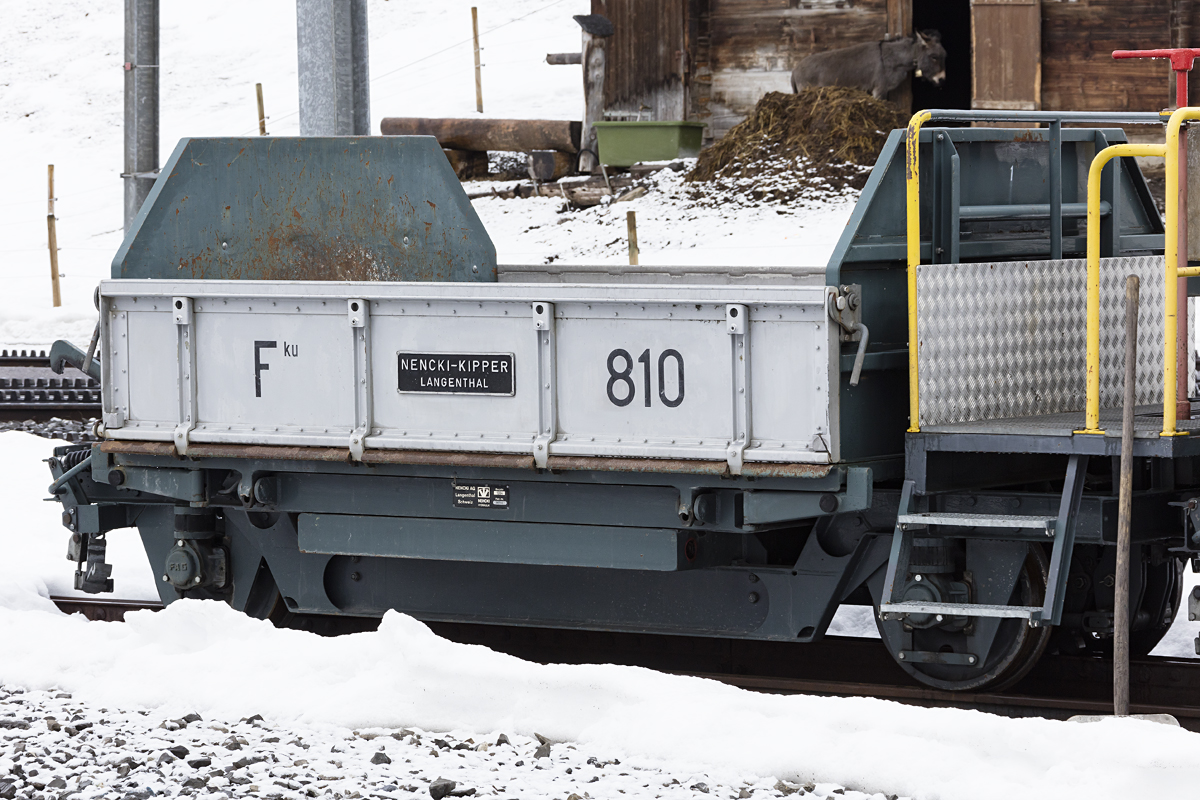 WAB, Fku, 810, 28.02.2017, Grindelwald 


