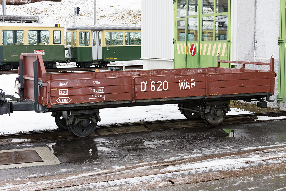 WAB, Ok, 620, 28.02.2017, Grindelwald 

