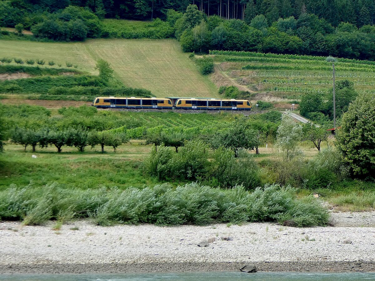 Wachaubahn(R16905) entlang der Donau, vorbei an Marillenb�umen und Weing�rten; 260705