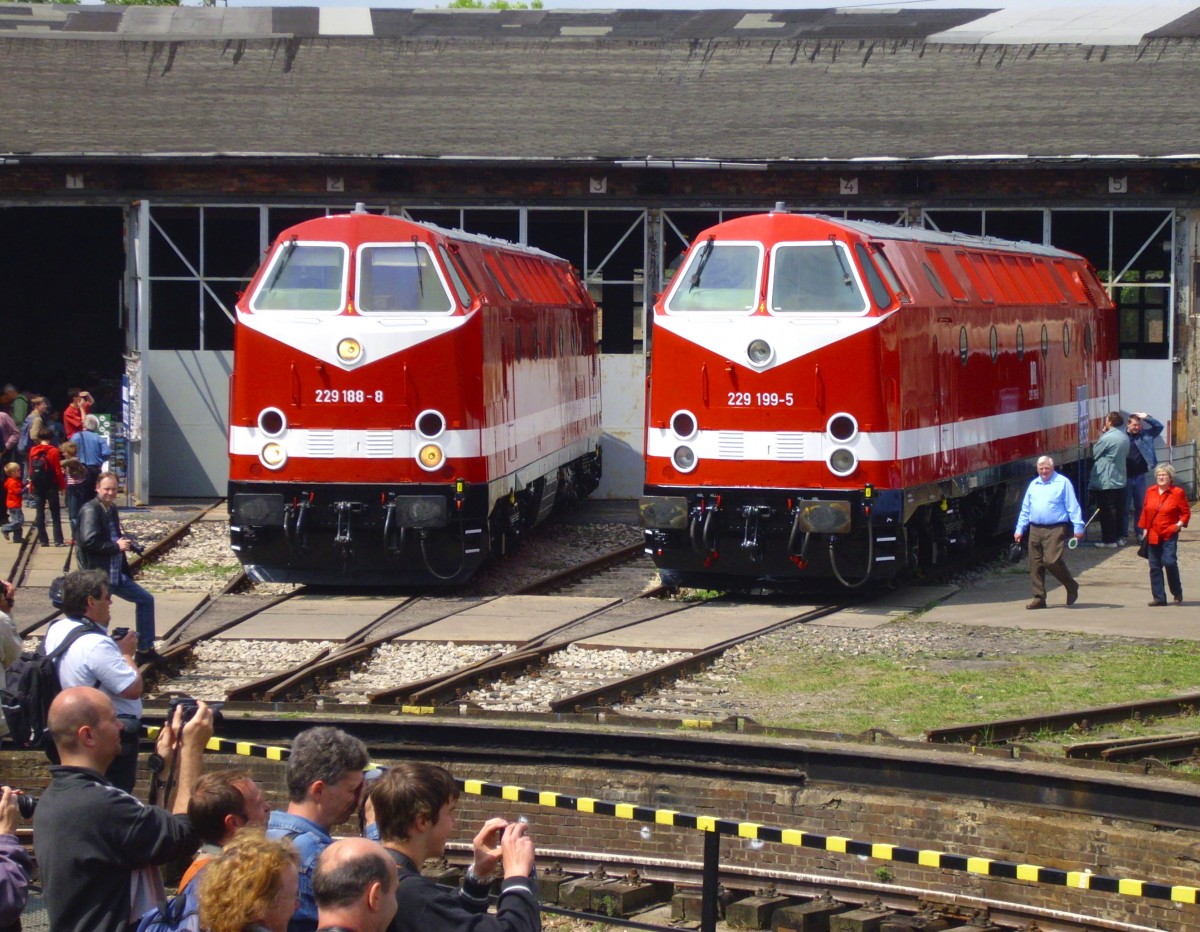 Während 229 188-8 und 229 199-5 vor dem Lokschuppen stehen war wohl fotografisch irgendwas anderes interessanter... Weimar 24.05.2008