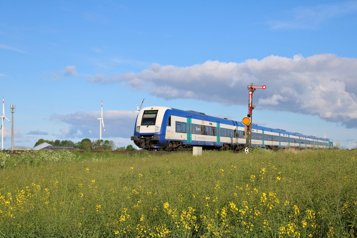 Während an der Marschbahn noch die letzten Rapsblüten auf den Feldern zu sehen sind, verlässt ein RE6 den Betriebsbahnhof Lehnshallig zur Fahrt nach Hamburg-Altona. (31.05.2022)