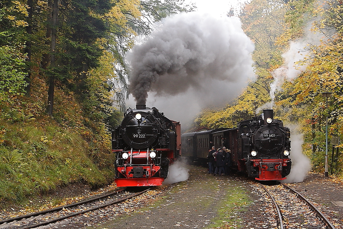 Während auf dem linken Gleis 99 222 bei der Durchfahrt durch den Haltepunkt  Steinerne Renne  sich auf der Steigung nach Drei Annen Hohne hinauf mit dem Foto-Güterzug der HSB abmüht, wartet rechts 99 6101 mit einem Sonderzug der IG HSB nach  Eisfelder Talmühle  geduldig auf die Weiterfahrt, welche wenige Minuten später erfolgt. Für die kleine Maschine wird das Anfahren und Beschleunigen in dieser Steigung zu einer echten Höchstleistung, welche sie aber mit Bravour meisterte, was viele kaum für möglich gehalten hätten! (Aufnahme vom 19.10.2013)