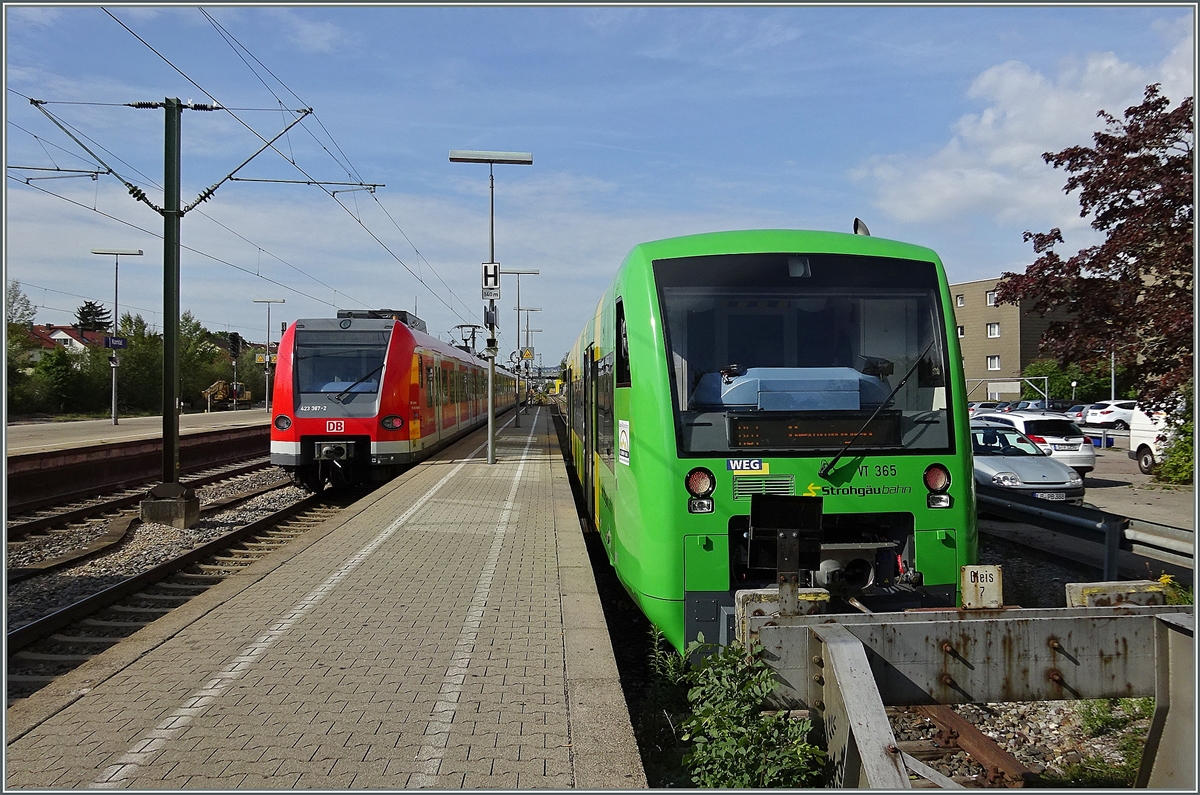 Während der DB 423 367-2 mit einem weitern 423 als S6 Kornbach Richtung Weil der Stadt verlässt wartet der WEG VT 365 der Strohgäubahn noch noch auf die Anschlussfahrgäste. 
12. Juni 2015