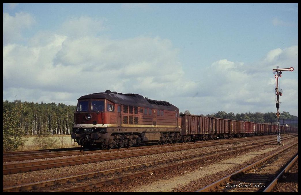 Während ich am Tag  Viva Magistrale  auf Dampfzüge wartete, kam am 19.10.1991 um 11.14 Uhr 130071 mit einem Güterzug in Richtung Magdeburg fahrend hier durch den Bahnhof Güsen.