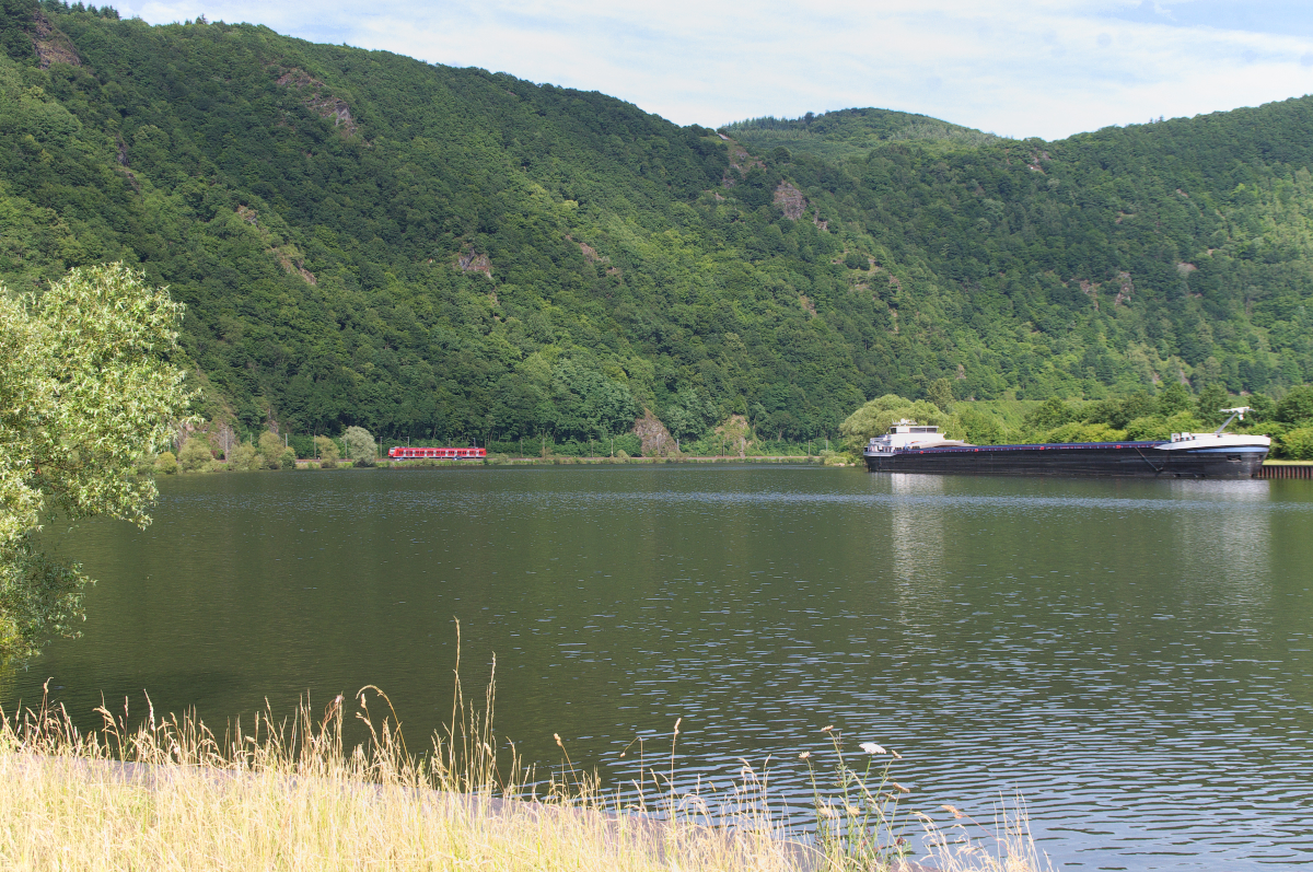 Während MS DEO JUVANTE vor der Schleuse Serrig vor Anker liegt, fährt ein 425er als RB Trier - Homburg durch das Saartal. Der nächste Planhalt ist in Taben. Bahnstrecke 3230 Saarbrücken - Karthaus am 28.06.2015