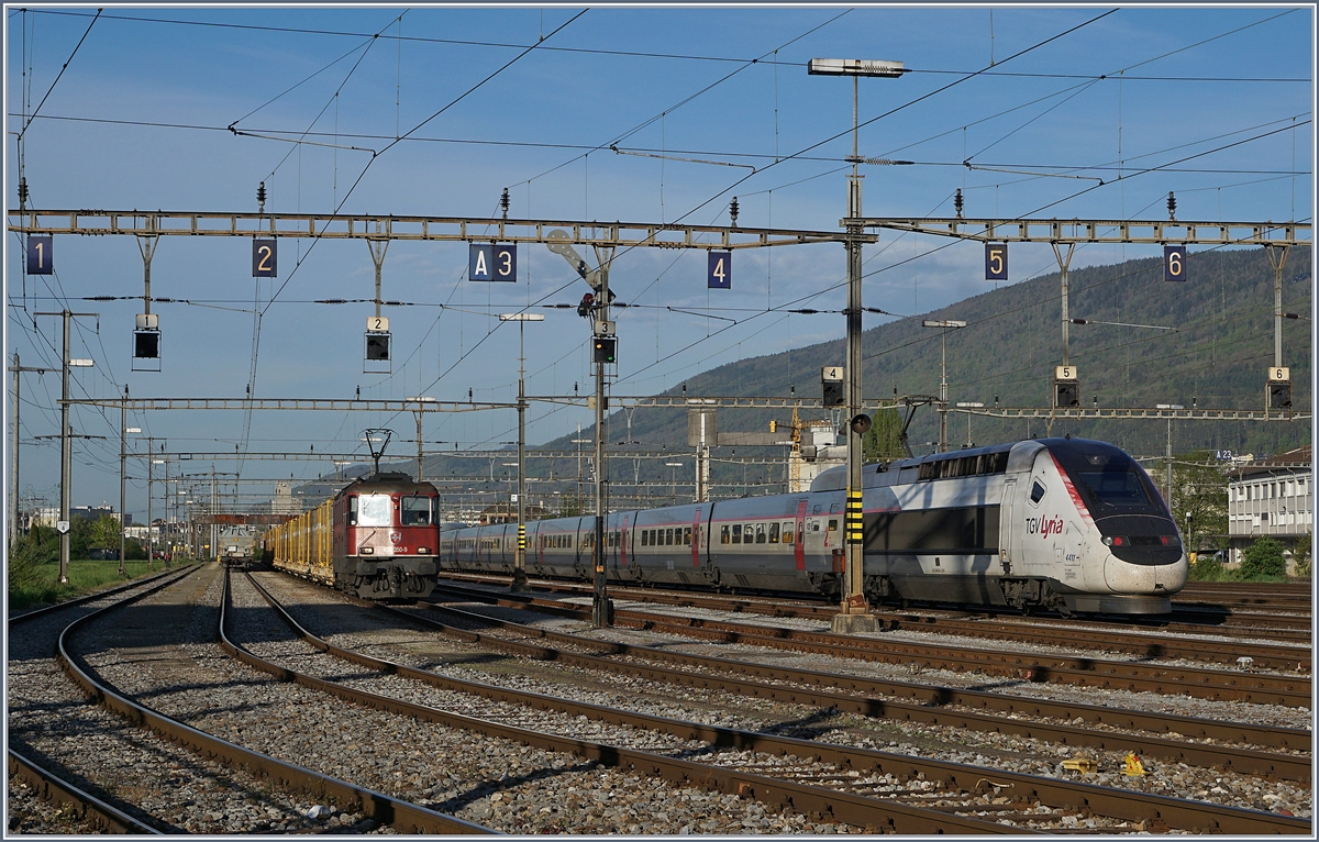 Während die SBB Re 4/4 III 11350 (Re 430 350-9 ) mit ihrem Postzug  Freie Fahrt  hat, wartet der Lyria TGV 4411 im Rangierbahnhof von Biel auf die Abfahrt nach Bern, von wo aus er dann nach Paris Gare de Lyon fahren wird. 

24. April 2019