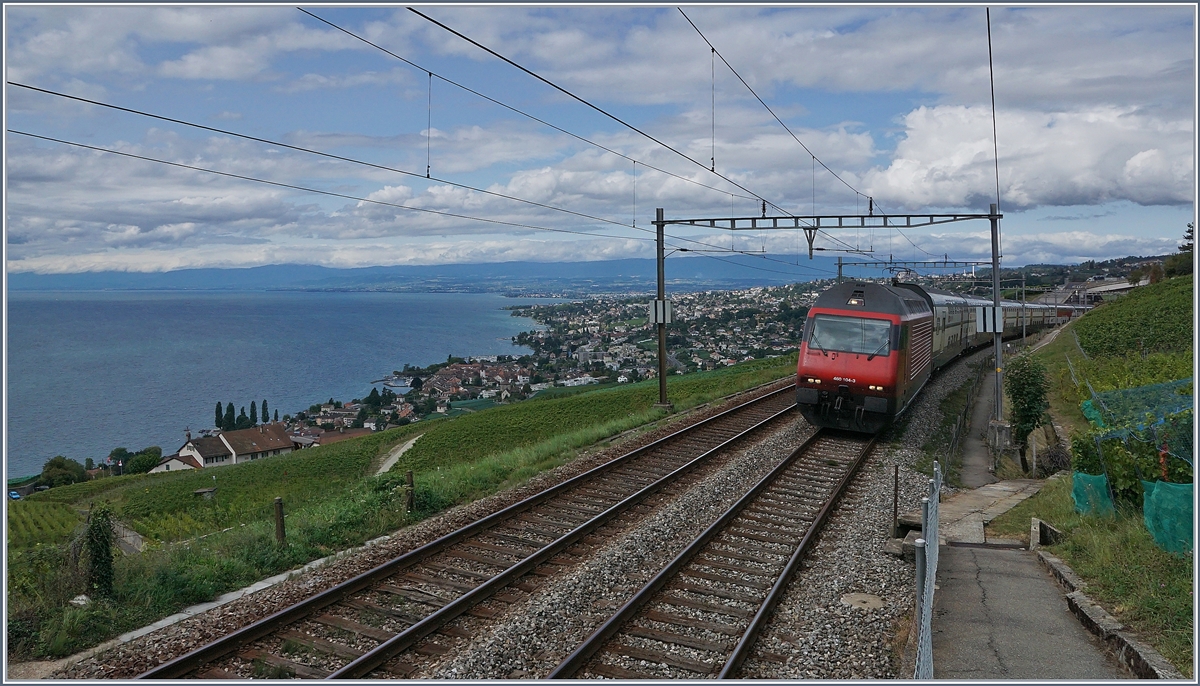 Während sich die SBB Re 460 104-3 mit ihrem IC nach St.Gallen Grandvaux nähert, schweift der Blick über das Lavaux und den Genfer See. 
6. Sept. 2017