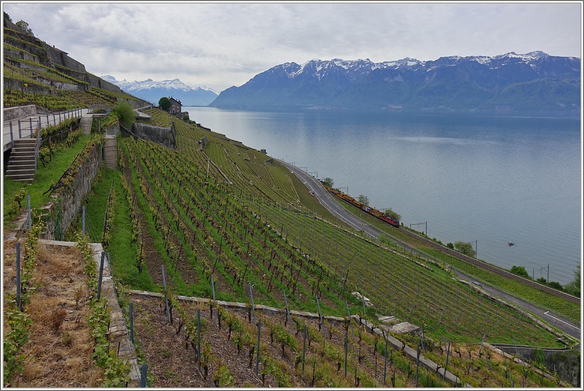 Während wir die Aussicht in Richtung Wallis genossen fuhr ein Bauzug am See entlang.
(08.05.2014)