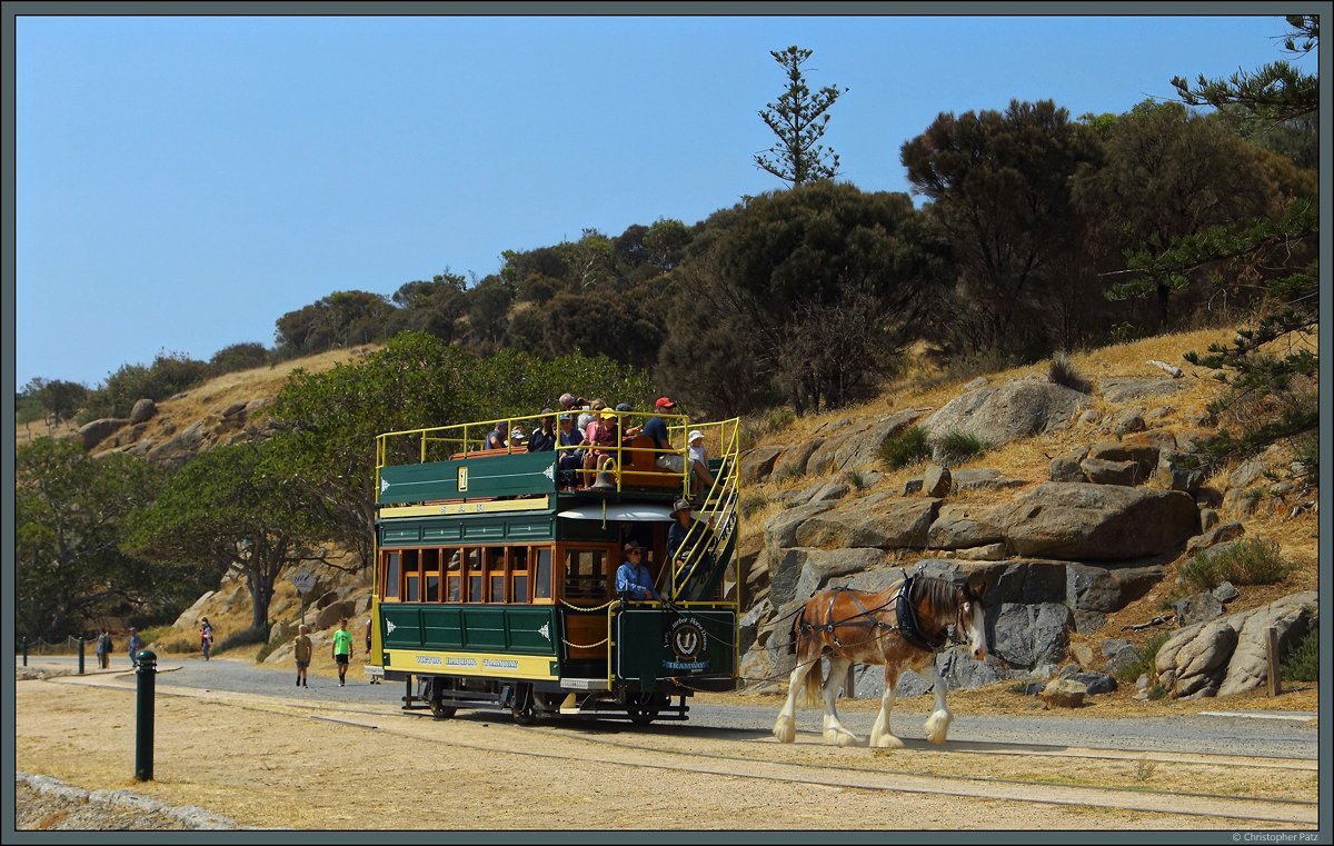 Wagen 1 der Pferdebahn Victor Harbor passiert am 08.01.2020 die Ausweichstelle auf Granite Island.
