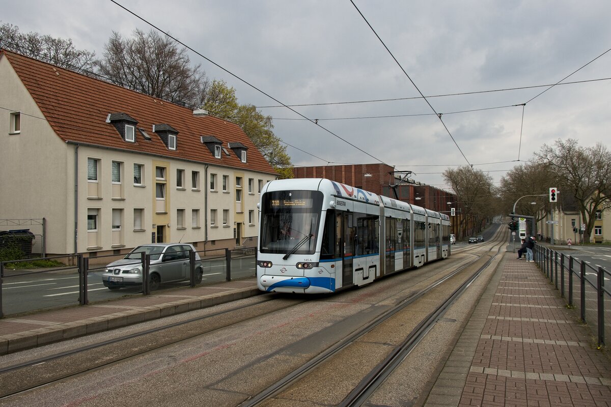 Wagen 145 der Bogestra in der Haltestelle Wattenscheider Straße (16.04.2023)