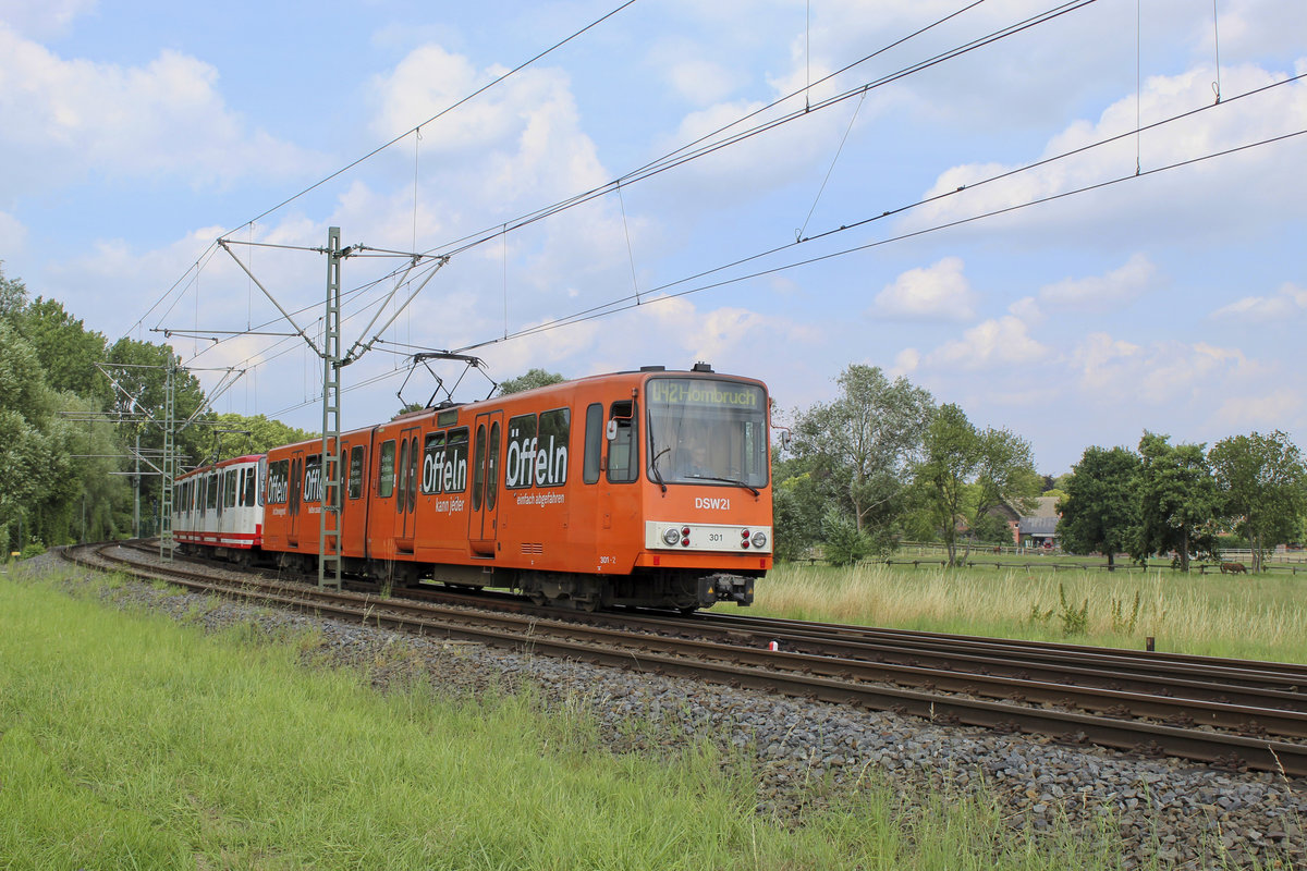 Wagen 301 der DSW im Sommer 2019 auf der Linie U42 bei der Ausfahrt aus Do.-Grevel 