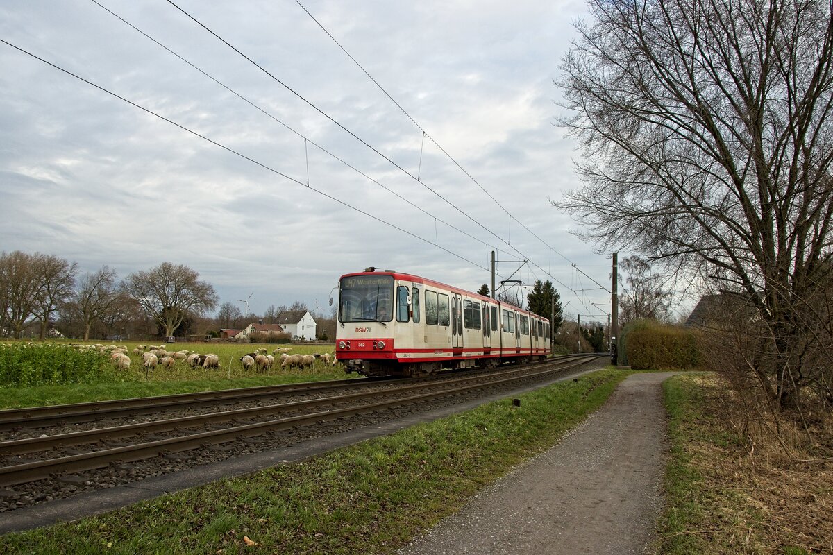 Wagen 362 der DSW21 auf der Linie U47 in ländlicher Atmosphäre kurz hinter Obernette (31.12.2021)