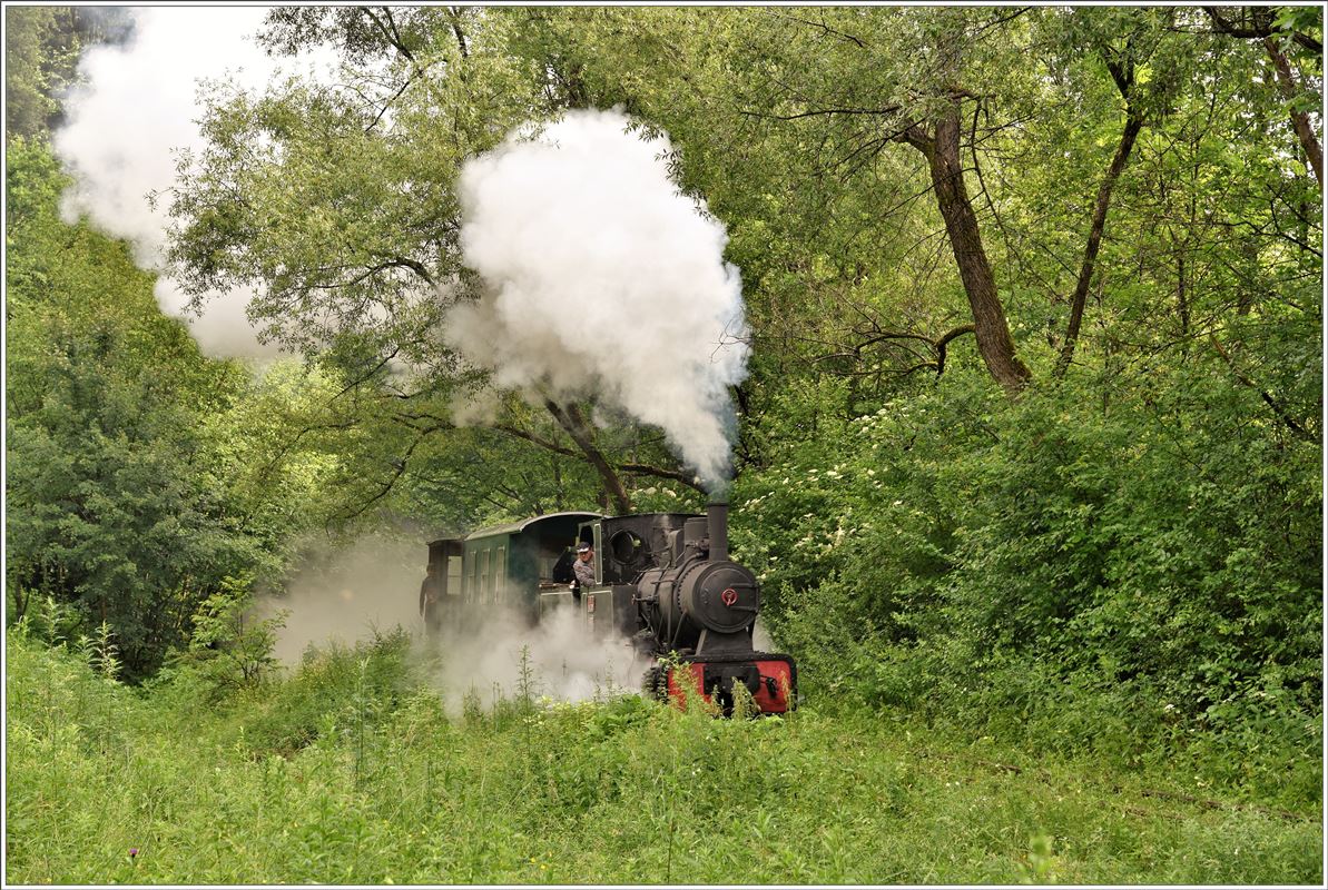 Wald- und Wiesenbahn mit 762.209 zwischen Câmpeni und Abrud. (17.06.2017)