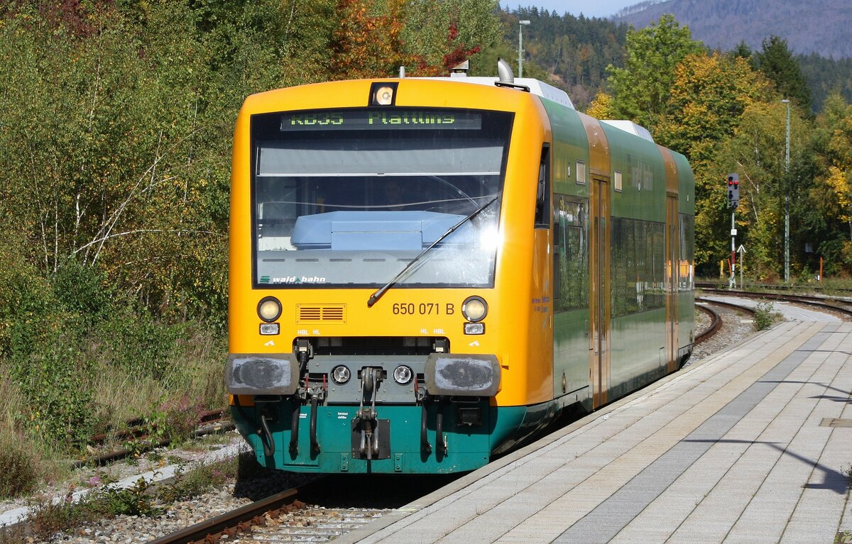 Waldbahn 650 071 | Einfahrt Bf Zwiesel | Oktober 2023