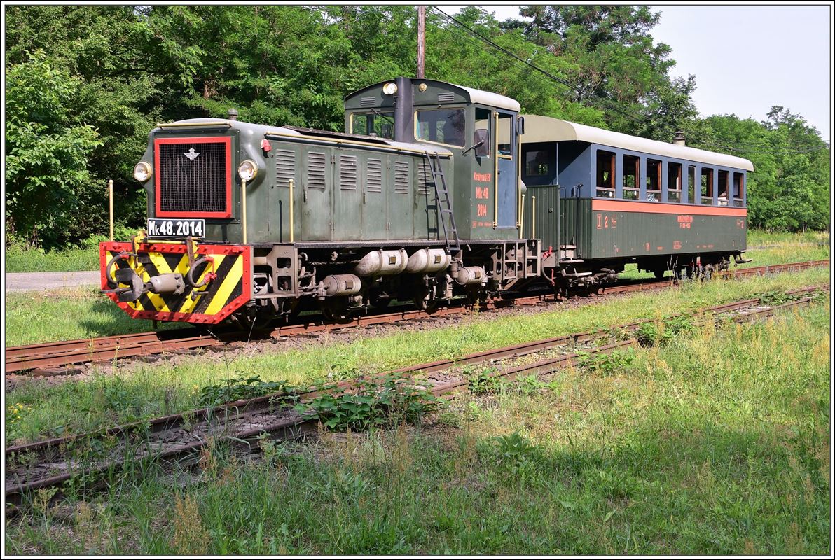 Waldbahn Királyrét (Királyréti Erdei Vasút, Királyréti Kisvasút). Mk 48.2014 in Paphegy. (12.06.2018)