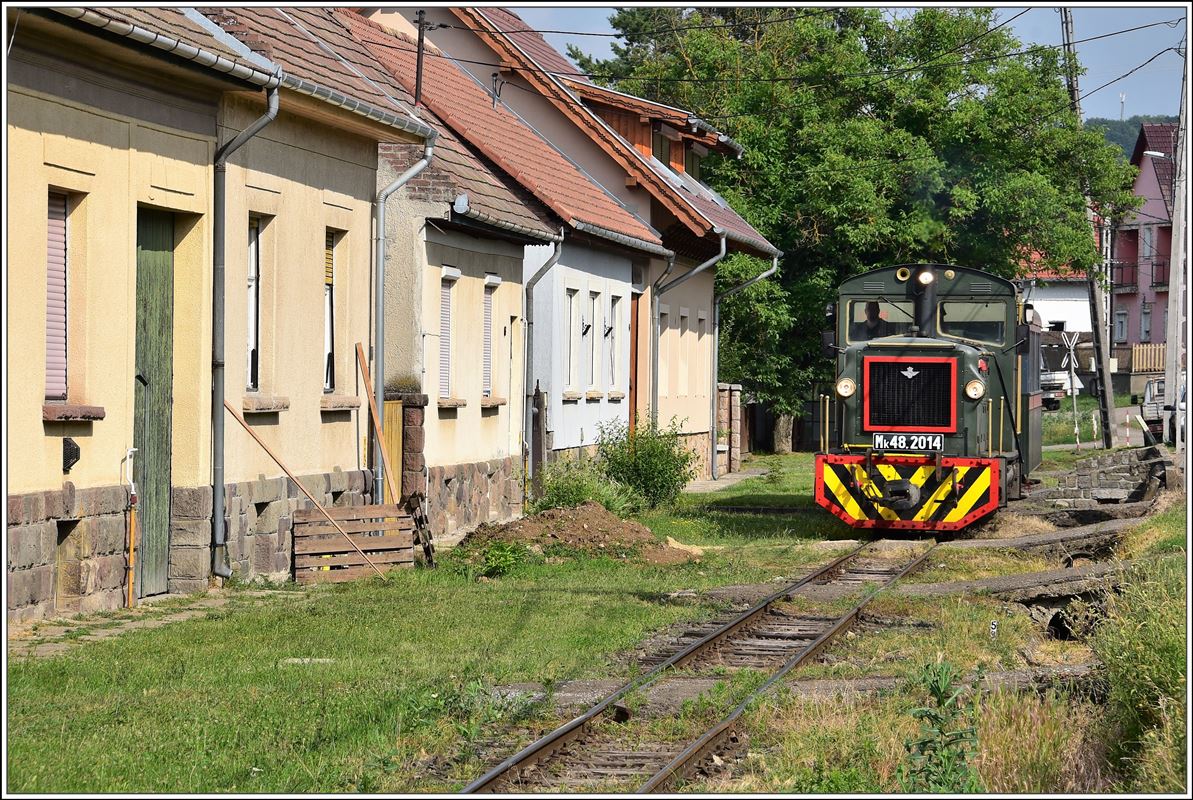 Waldbahn Királyrét (Királyréti Erdei Vasút, Királyréti Kisvasút). Ortsdurchfahrt in Szokolya. (12.06.2018)