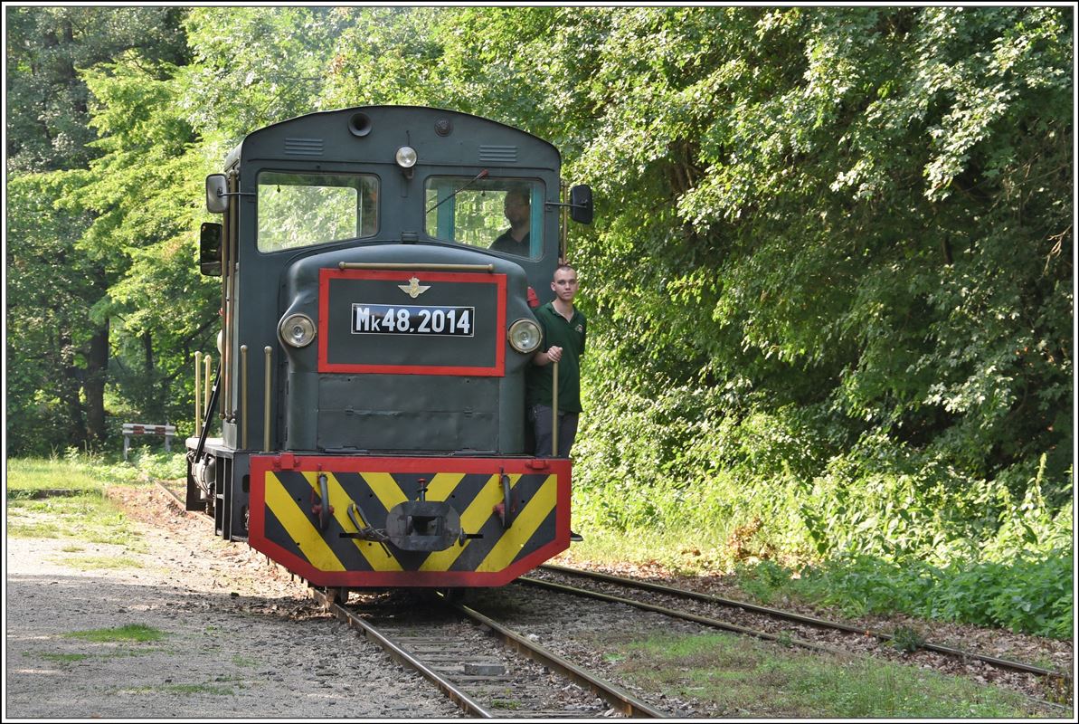 Waldbahn Királyrét (Királyréti Erdei Vasút, Királyréti Kisvasút). Mk48-2014 am Streckenende in Királyrét. (12.06.2018)
