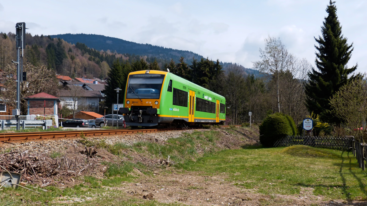 Waldbahn VT19 kurz vor der Einfahrt in den Bahnhof Bodenmais. 10.04.2016