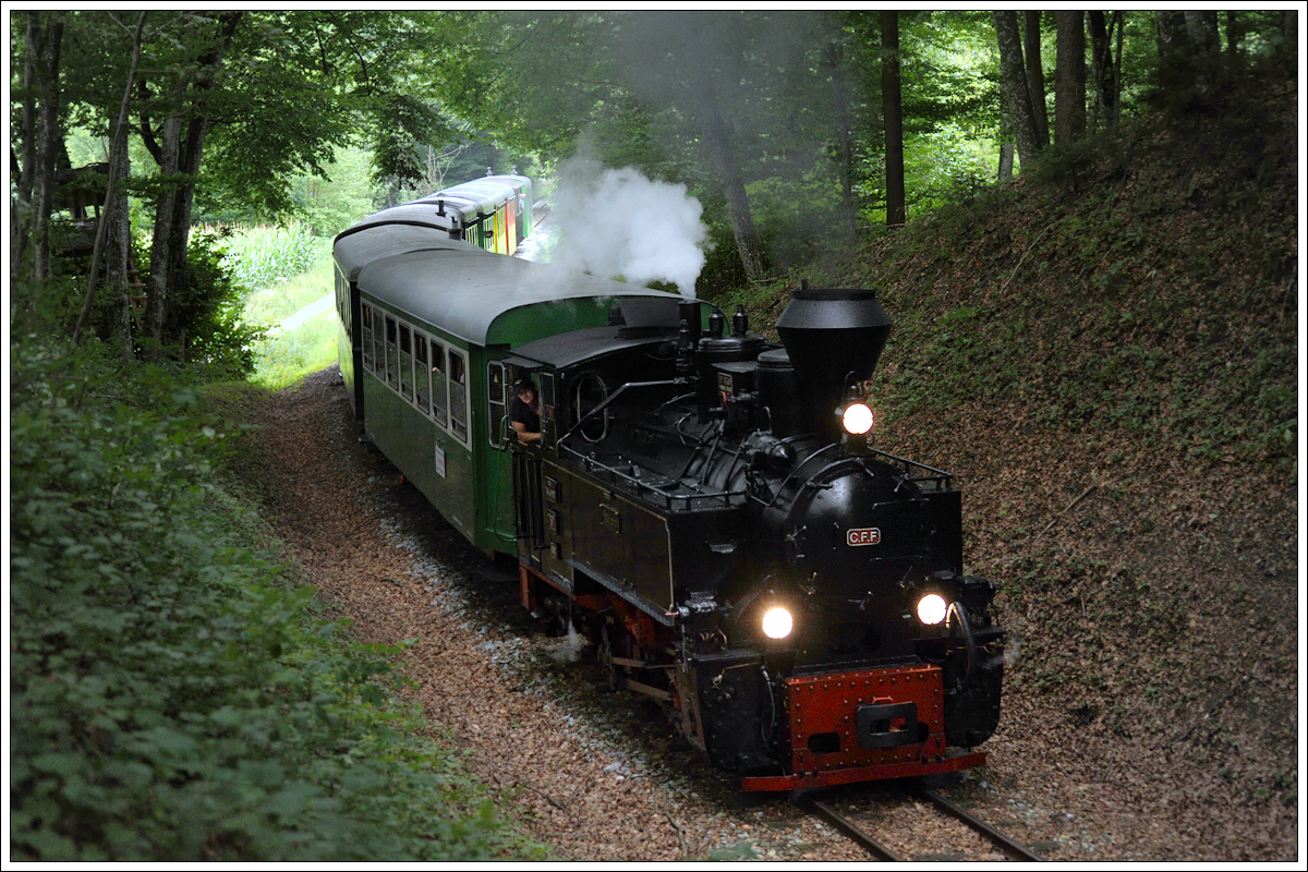 Waldbahnflair auf der Stainzerbahn. Kollege Ferk hat den Überblick ;-). Kraubath 17.7.2016.
