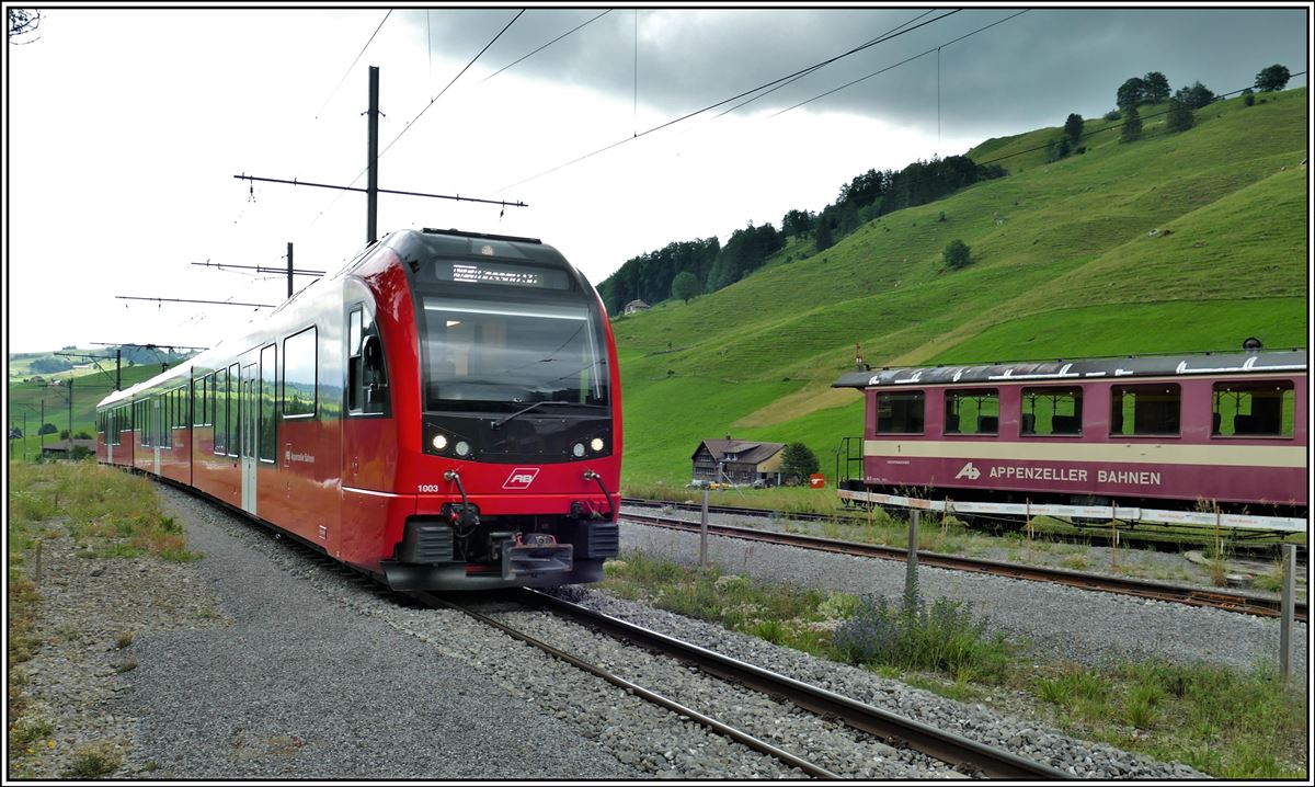 Walzer ABe 4/12 1003 in Wasserauen. (13.07.2019)