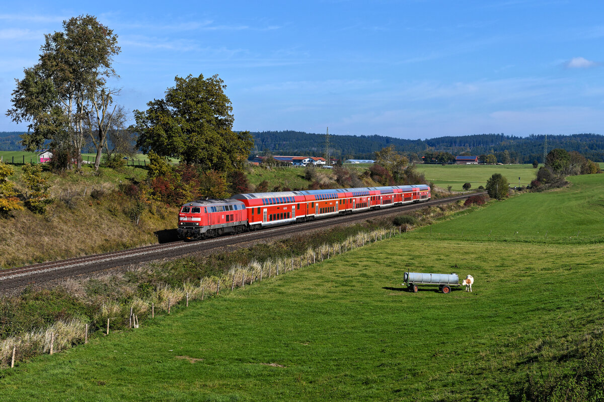 Was am Morgen für Verdruss sorgte, ließ sich am Nachmittag problemlos umsetzen. Am 17. Oktober 2021 verkehrte das eigentlich mit Sandwich-Bespannung vorgesehene Regionalzugpaar zwischen Kempten und München nur mit einer 218, da die andere Lok ein technisches Gebrechen aufwies. Bei der Rückfahrt als RE 57588 war dann die 218 414 führend. Bei Aitrang konnte ich die Leistung aufnehmen. Die Kuh labte sich bei der Durchfahrt völlig ungerührt am Wasserspender, ihr war natürlich nicht bewußt, dass die Zeit der lokbespannten Regionalzüge im Allgäu unweigerlich ablief und ab Fahrplanwechsel Geschichte war...