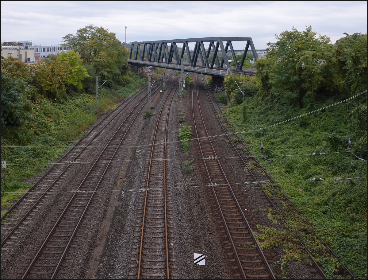 Was marode Infrastruktur auslösen kann. 

Noch einen Blick in das Geisterbahnhofsgleisfeld von Wiesbaden. Die Salzbachtalbrücke schlägt auch vor und nach der Not-Sprengung ordentlich Wellen und sorgt hier für einen gewaltigen Urwald. Oktober 2021.