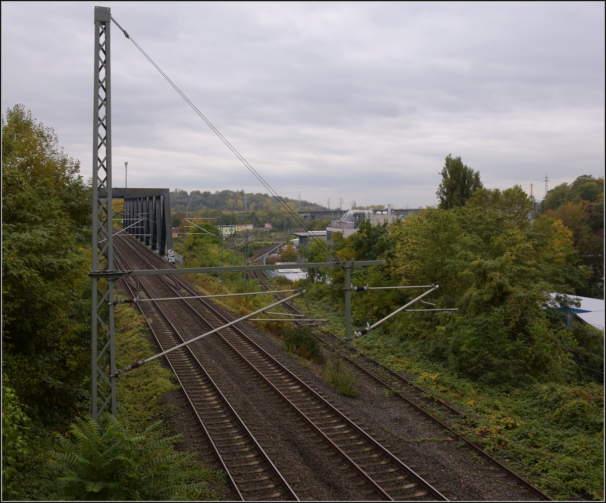 Was marode Infrastruktur auslösen kann. 

Noch einen Blick in das Geisterbahnhofsgleisfeld von Wiesbaden. Die Salzbachtalbrücke schlägt auch vor und nach der Not-Sprengung ordentlich Wellen und sorgt hier für einen gewaltigen Urwald. Oktober 2021.