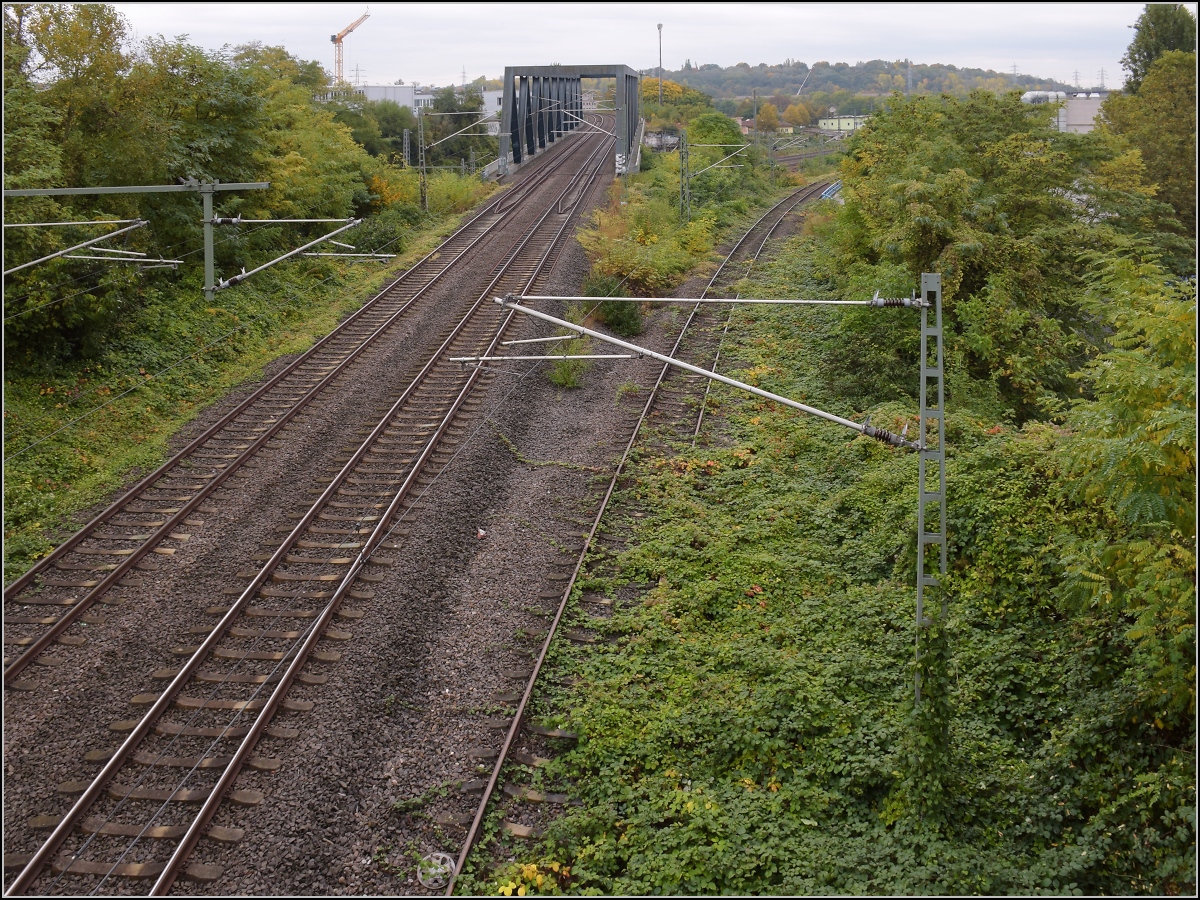 Was marode Infrastruktur auslösen kann. 

Noch einen Blick in das Geisterbahnhofsgleisfeld von Wiesbaden. Die Salzbachtalbrücke schlägt auch vor und nach der Not-Sprengung ordentlich Wellen und sorgt hier für einen gewaltigen Urwald. Oktober 2021.