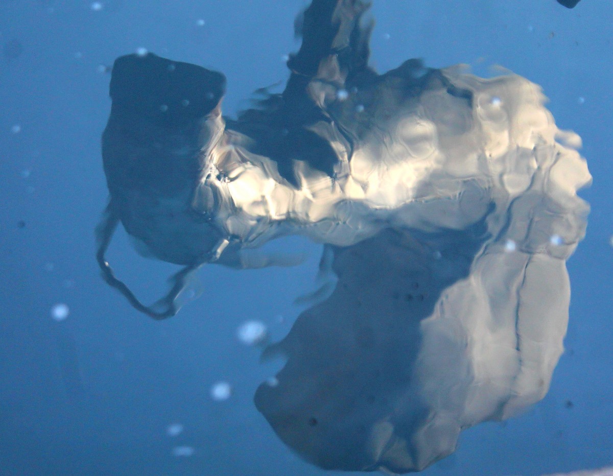 Wasser ist das wichtigste fr die Dampflok . Meist kmpft man mit Kalk oder Eisenhltigen Quellen die starke ablagerungen im Kesselinneren den Dampflokbetrieb erschweren. Das Wasser in Stainz ist recht weich, so gibt es auch kaum Schwierigkeiten. 20.Oktober 2013