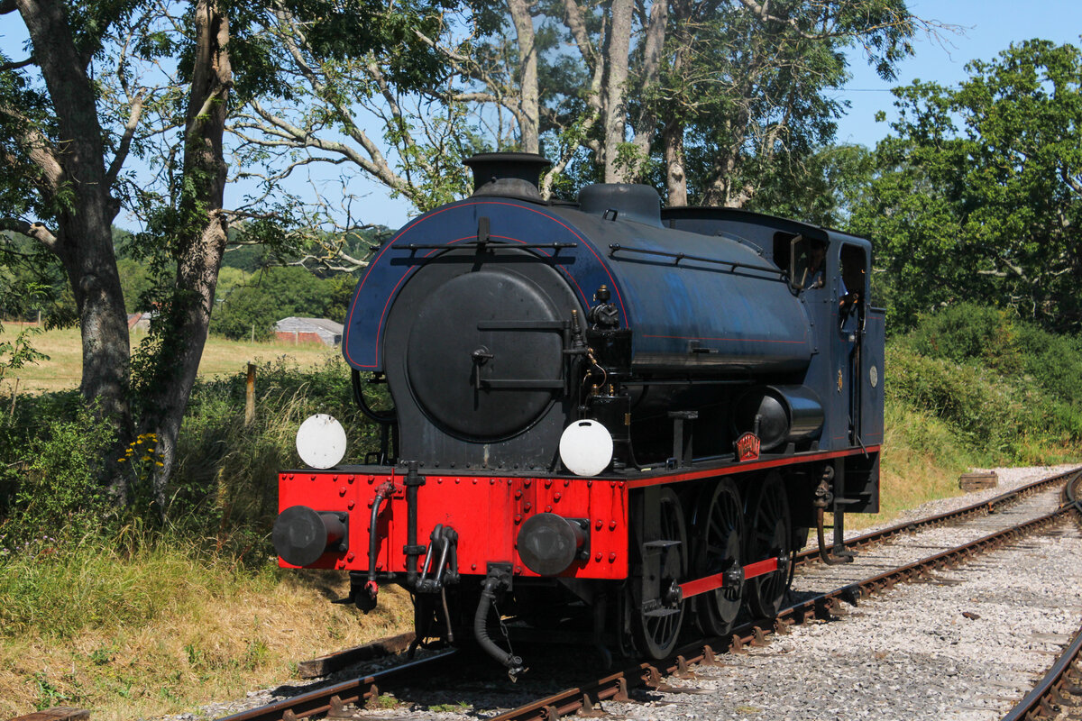  WD192 Waggoner  am 09.07.2026 in Smallbrook Junction.