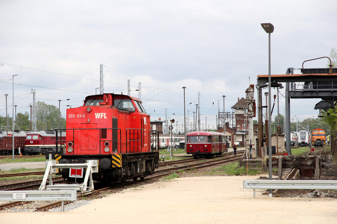 Wedler Franz Logistik (WFL) 203 113 // Güterbahnhof Wustermark // 28. April 2019