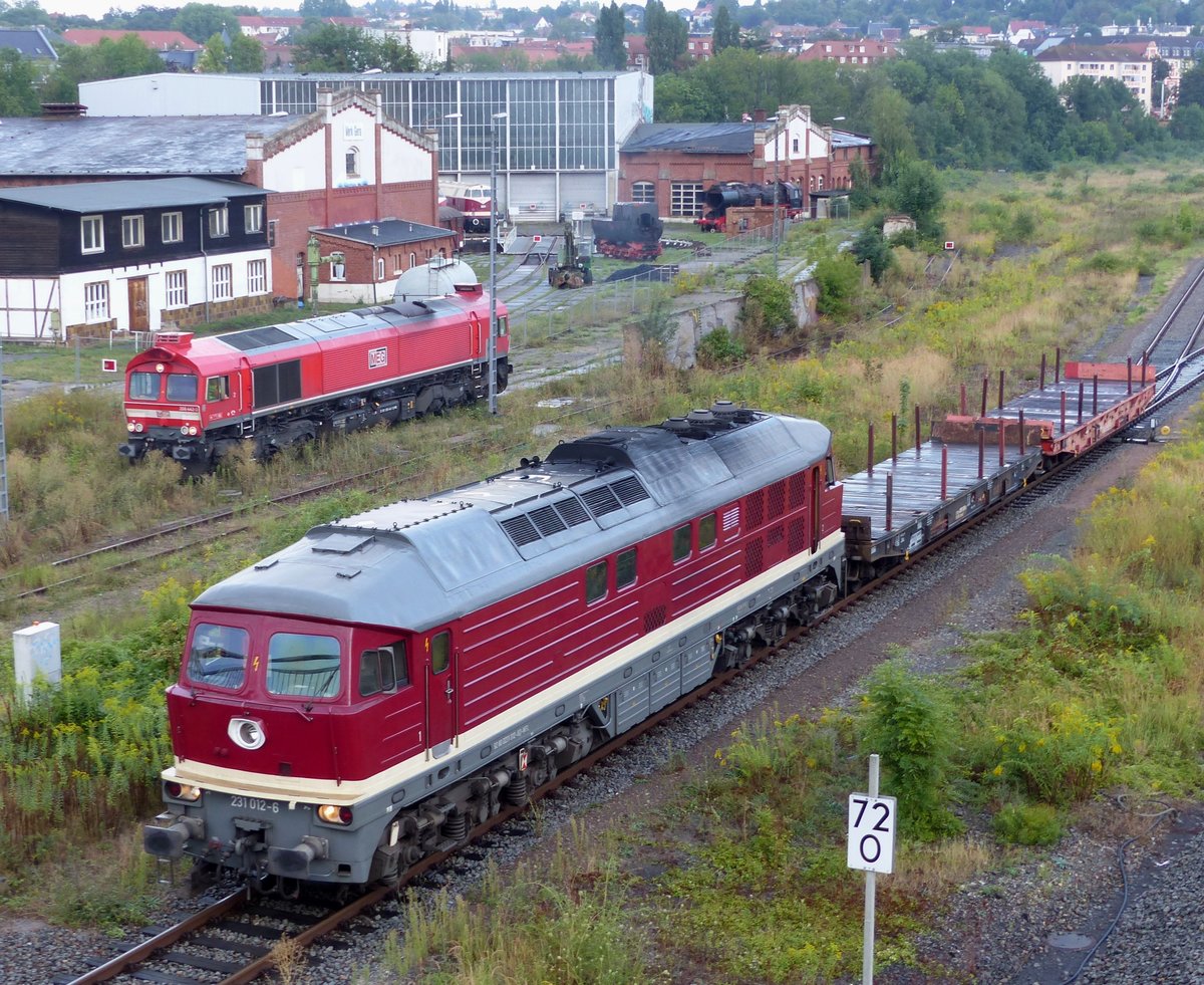 Wedler Franz Logistik (WFL) Ludmilla, 231 012-8 ( 9280 1231 012-8 D-WFL ) beim rangieren in Gera am 16.8.2020. Im Hintergrung die Class 66 der MEG 266 442-3. 