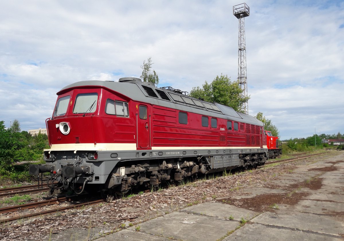 Wedler Franz Logistik (WFL) Ludmilla,  232 601-5 ( 9280 1232 601-5 D-WLF ) abgestellt im Holzbahnhof von Gera am 23.8.2020