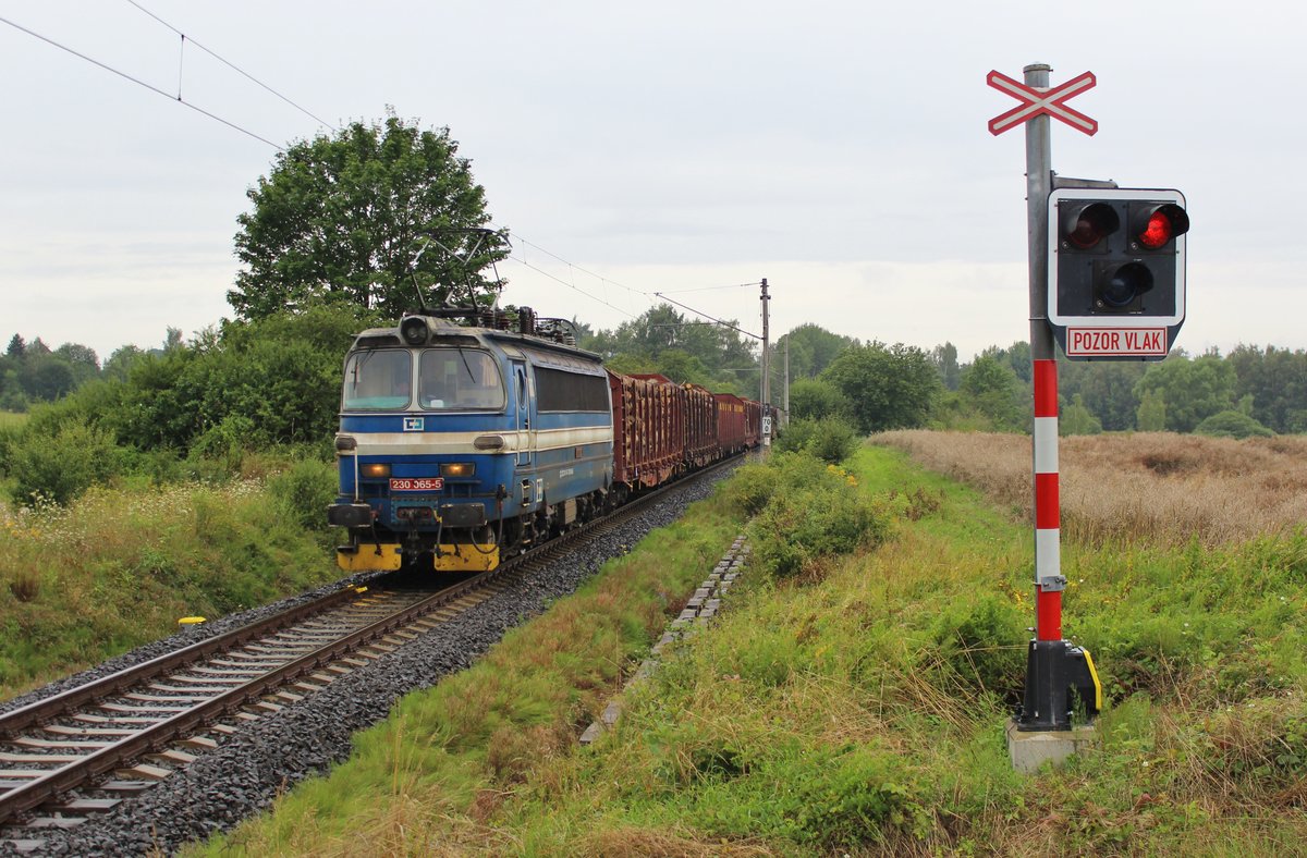 Wegen der Brückenbauarbeiten bei Tršnice, werden alle Züge über Františkovy Lázně nach Cheb umgeleitet. Hier 230 065-5 am 09.08.16 Střížov.