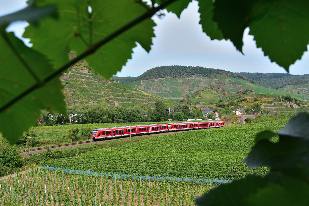 Weinberge und Weinreben wohin man schaut. Sie haben jedoch gute Fotostellen und tolle Motive geboten. Hier fährt gerade die RB30 Richtung  Ahrbrück.

Mayschoss 03.09.2016