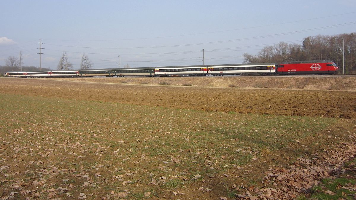 Weitblick 2011 - Den Seerücken hinauf fährt am 13.02. IR 2124, Konstanz - Biel, und wird in Kürze den Bahnhof Lengwil passieren.
