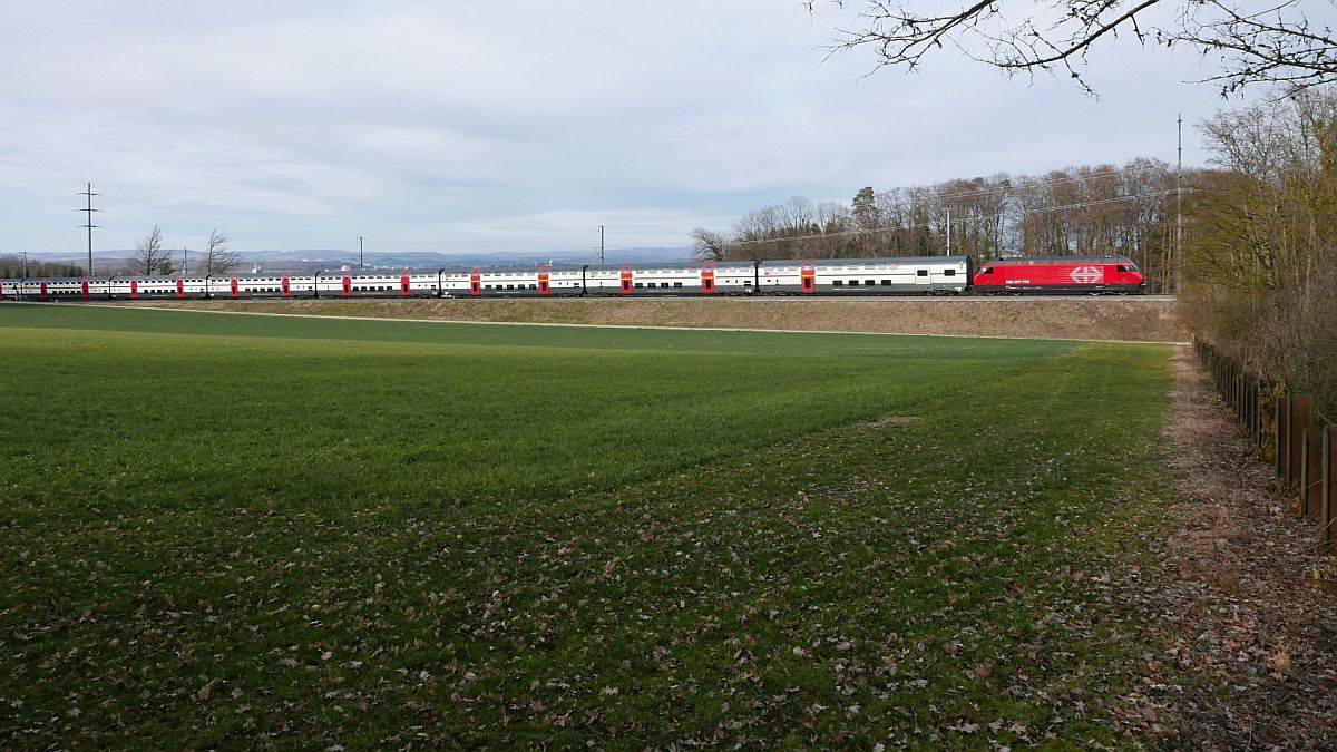 Weitblick 2019 - Den Seerücken hinauf zieht am 03.03. Re 460 057-3 den IR 2128, Konstanz - Zürich, und wird in Kürze den Bahnhof Lengwil passieren.