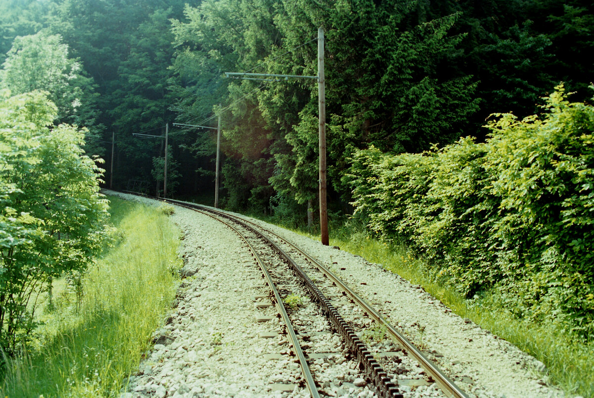 Wendelsteinbahn, System Strub (die Bahn f�hrt �brigens auch als Adh�sionsbahn zwischen Talbahnhof Brannenburg-Waching bis etwa zum Lokschuppen), Sommer 1984