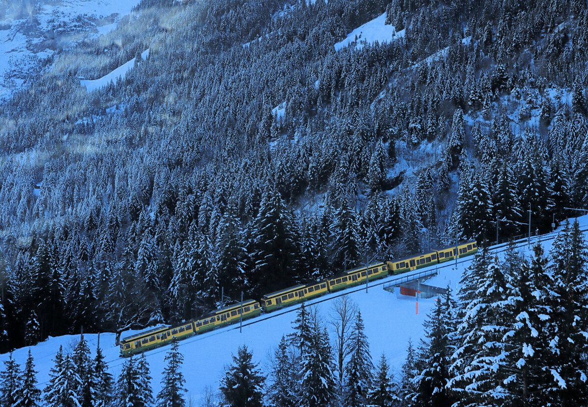 Wengernalpbahn: Da die Strecke Kleine Scheidegg - Grindelwald unterbrochen war, mussten die Fahrgäste den Umweg über Eigergletscher (Jungfraubahn) und der Gondelbahn  Eiger Express  nach Grindelwald nehmen. Das Bild wurde aus einer Gondel des  Eiger Express  aufgenommen und blickt auf einen Zug der WAB, bestehend aus Doppeltriebwagen 133+131 mit Gelenk-Steuerwagen 251. 12.Januar 2024 
