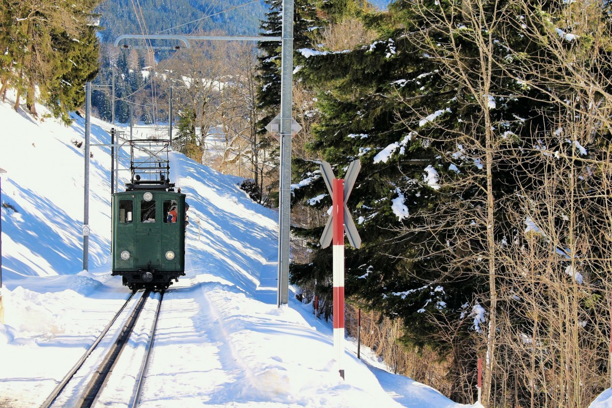 Wengernalpbahn Güterzug mit der alten Lok 64 in Wengwald, 10.Februar 2015. 
