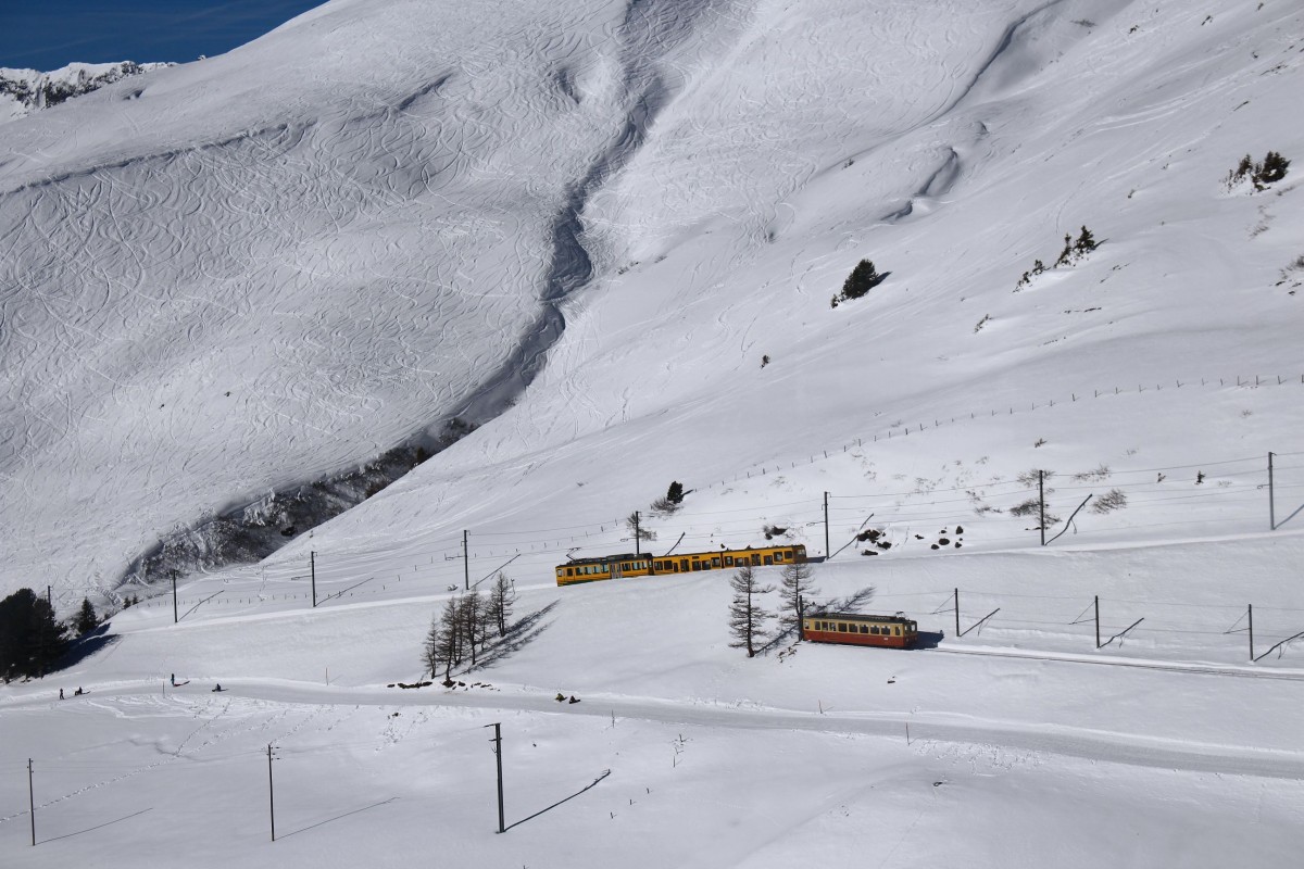 Wengernalpbahnzug 123-244 und der Jungfraubahn-Triebwagen 201 auf der Kleinen Scheidegg inmitten munterer Skispuren, 10.Februar 2015. 
