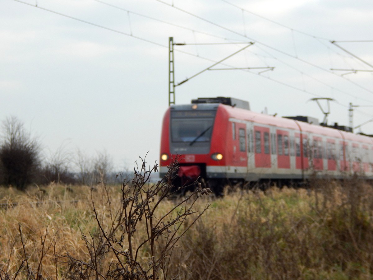 Wenn dem Fotografen Grünzeug in Wege steht kann ie Kamera schonmal das falsche Objekt anvisieren. In diesem Falle hat die kamera statt den Zug das Grünzeug davor anvisiert. 

Allerheiligen 30.12.2014