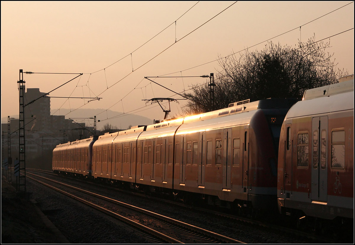 Wenn der Fotograf nichts mehr sieht II -

Blindschuss bzw Nachschuss auf einen S-Bahnzug der Baureihe 430 kurz vor Weinstadt-Endersbach auf der Remsbahn. Die Sonne hebt die nicht funktionierenden Schiebetritte hervor.

13.03.2015 (M)