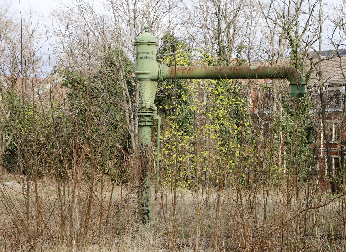 Wenn eine Reise mit einer Dampflok ansteht, werden Wasserkräne, auch wenn sie längst stillgelegt sind, wieder interessant. Hier bahnhof Dresden Neustadt. 09.04.2022, 07:39 Uhr, Bahnhof Dresden Neustadt, kurz vor der Abfahrt des PRESS-Sonderzuges.