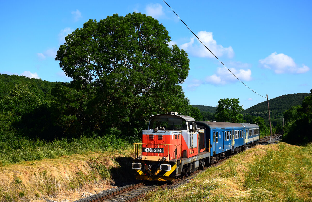 Wenn Sommer: es gibt interessanteste Sichtungen auf der Eisenbahn. Die MÁV Verschubloks 478-er (ex. M47 1200 und 1300) arbeiten vor Personenzüge auf der Strecke zwischen Győr und Veszprém. 
Das Bild zeigt die 478 203 mit dem Zug 39512 kurz vor Zirc.
26.06.2021.