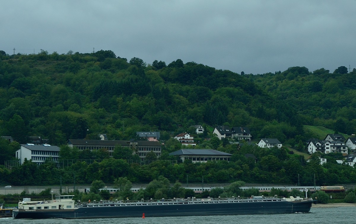 Wer sich nicht von der MS Mezzoforte ablenken lsst, entdeckt dahinter eine 103 mit IC-Wagen am Hacken......hier ist sie gegenber von Lorchhausen auf rheinland-pflzischer Seite bei Bacherach in Richtung Koblenz unterwegs. Sonntag 8.9.2013